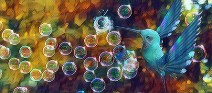 Colibrì scoppia bolle