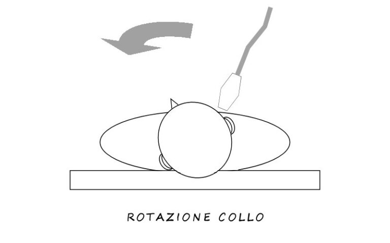 Le manovre dinamiche nella sindrome vertiginosa